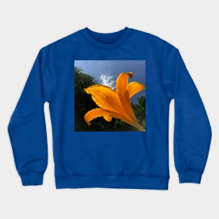 Orange Daylily against blue sky, summer garden Crewneck Sweatshirt